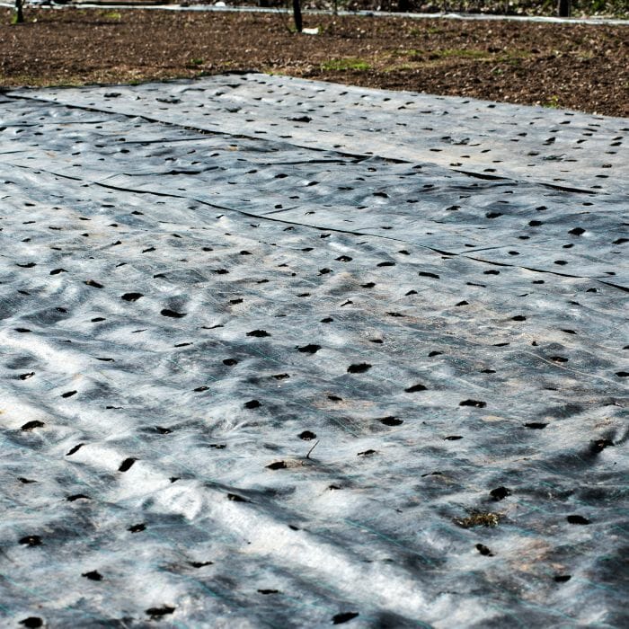 telo per pacciamatura