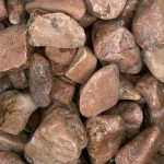 MARRON PRUGNA CIOTTOLO