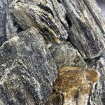 STONE CORTEX - immagine 2
