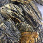 STONE CORTEX